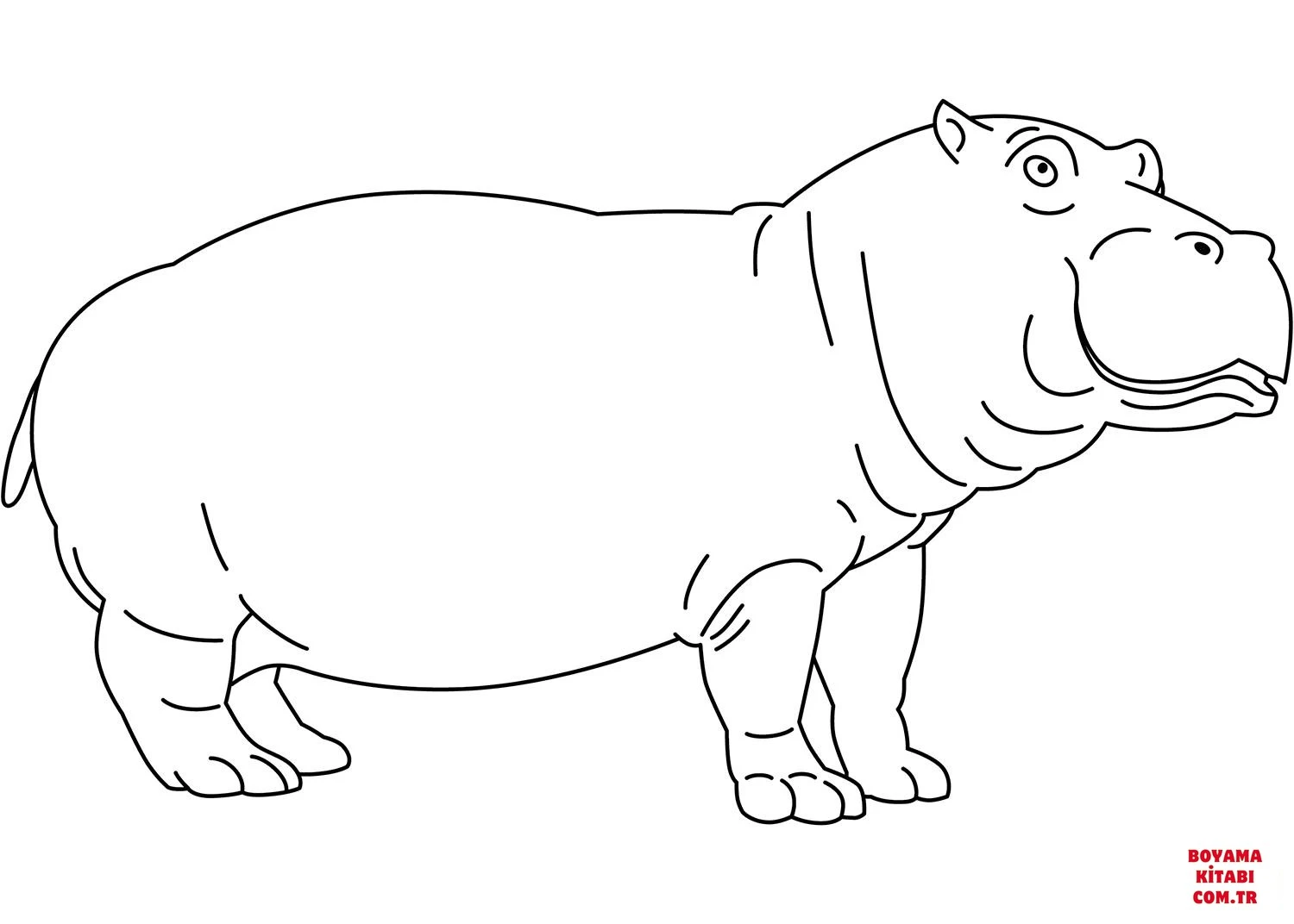 Hipopotam Boyama