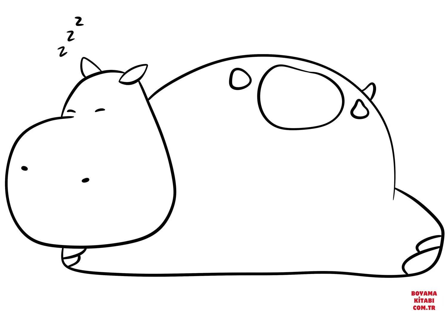 Hipopotam Boyama