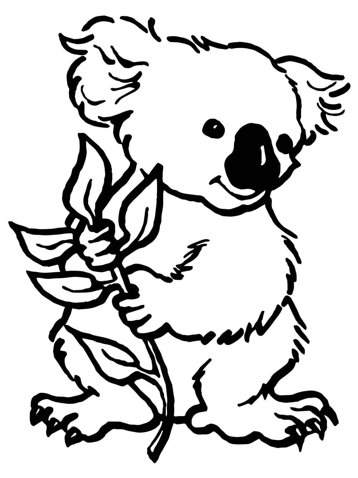Koala boyama sayfası – eğitici aktivite, yaratıcılık