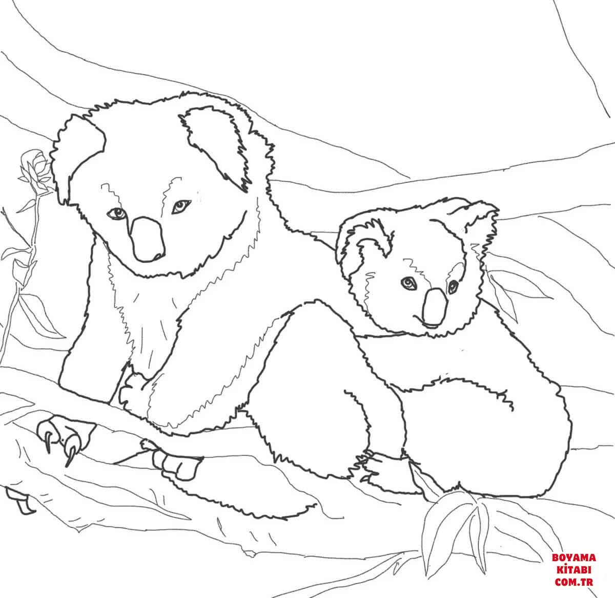 Koala boyama sayfası – el becerilerini geliştirir, boyama çalışması