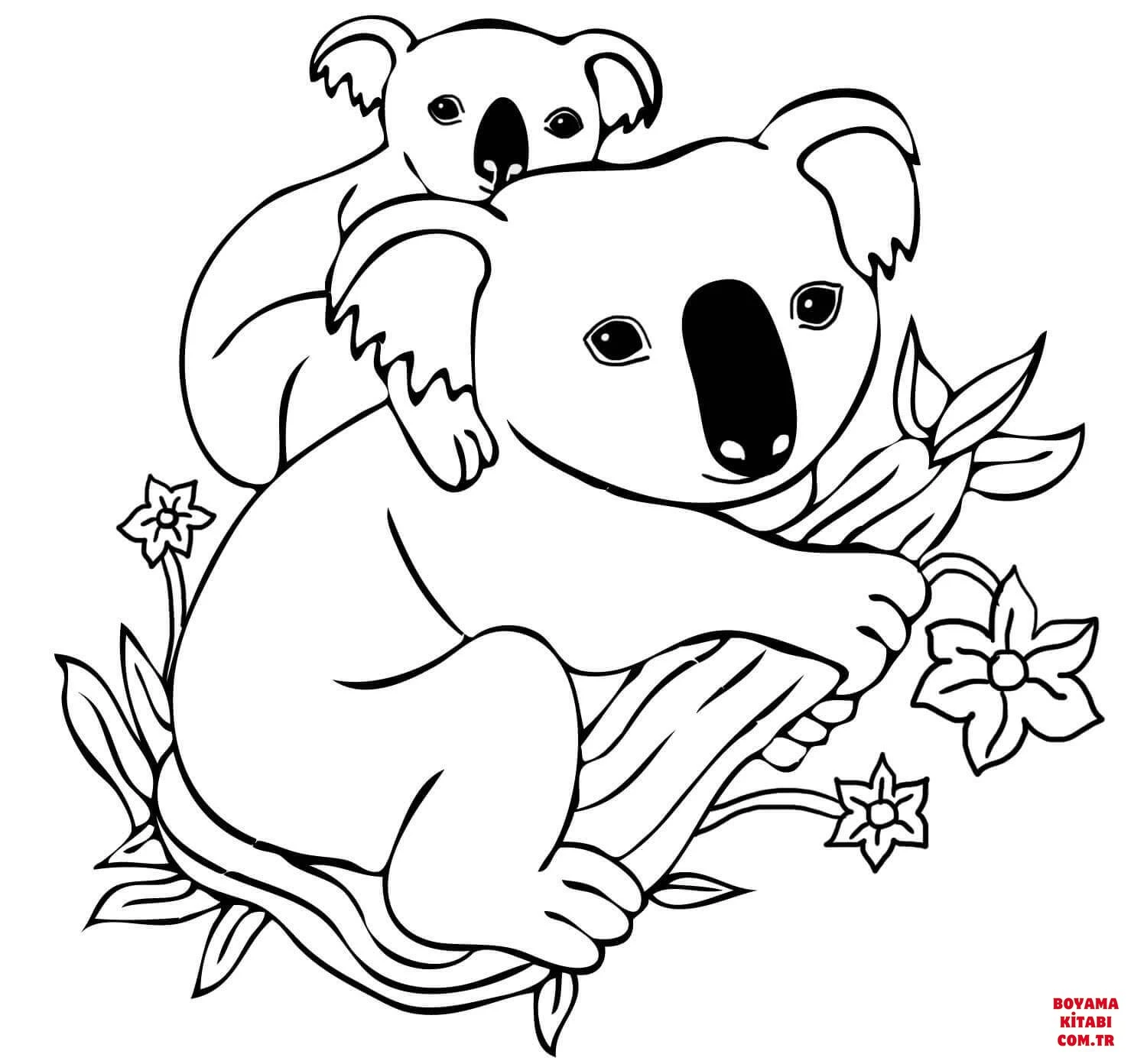 Koala boyama sayfası – evde etkinlik, ücretsiz yazdır
