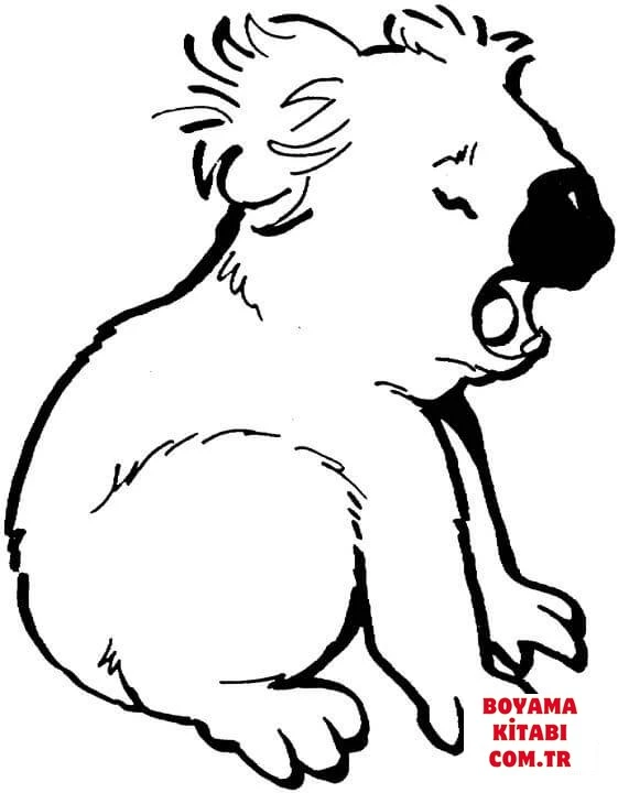 Koala boyama sayfası – çocuk aktivitesi, PDF indir
