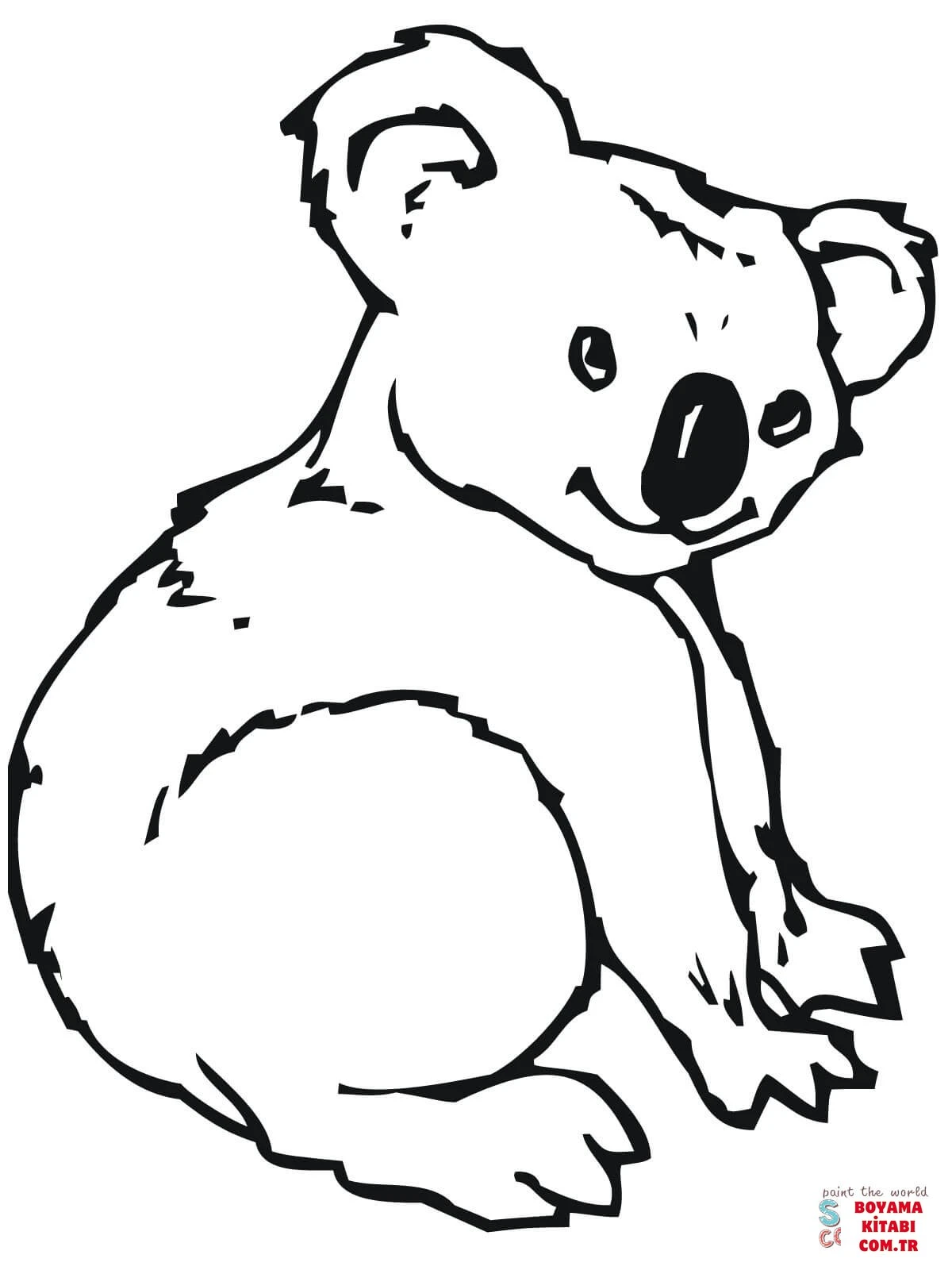 Koala boyama sayfası – sanatsal çalışma, çocuklar için