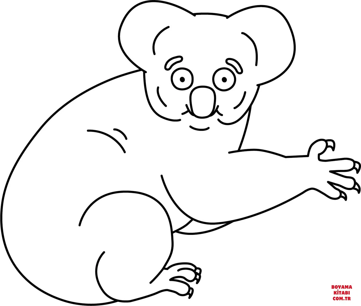 Koala boyama sayfası – renkli çizimler, okul öncesi