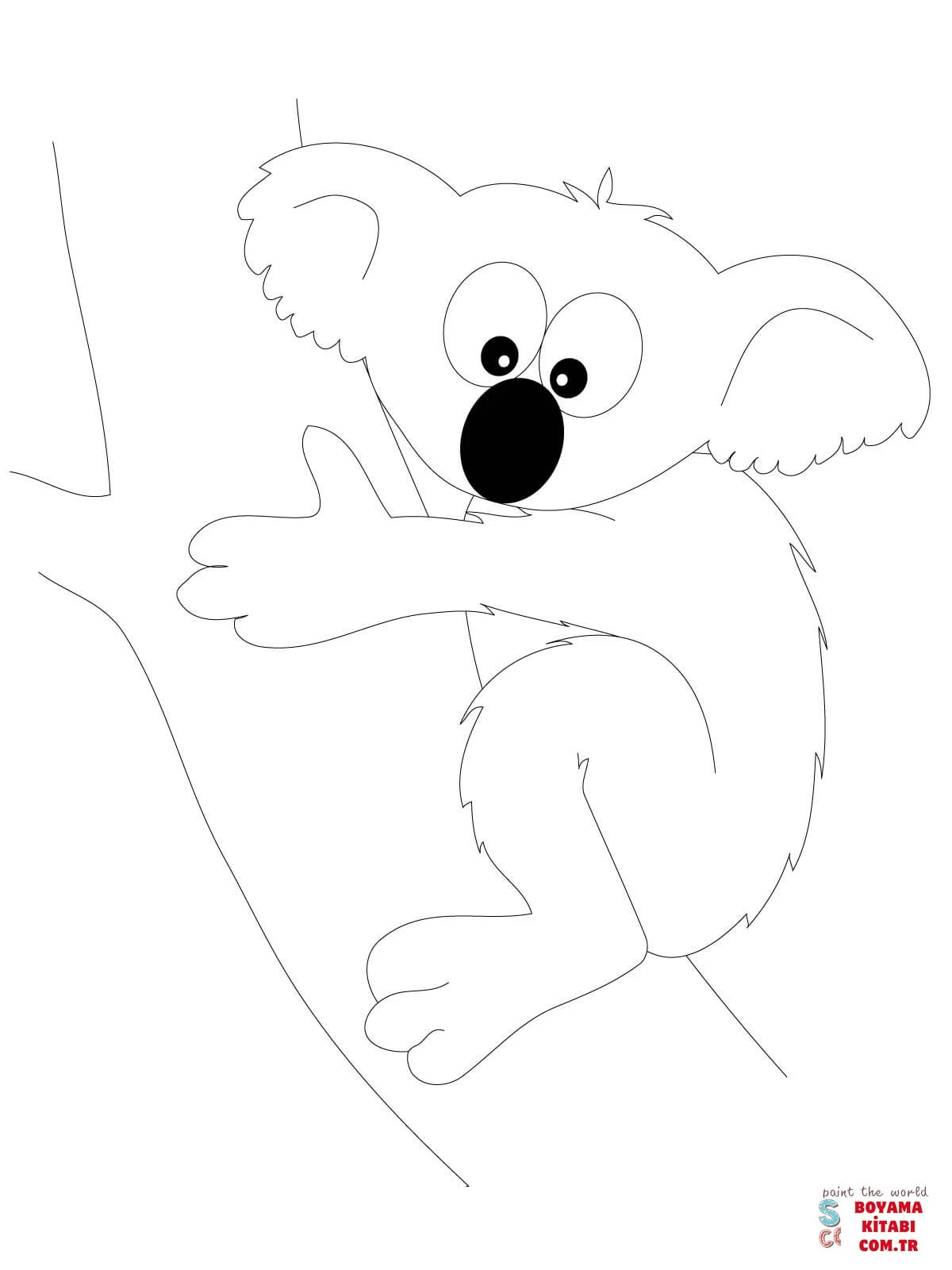 Koala boyama sayfası – ücretsiz yazdır, boyama etkinliği