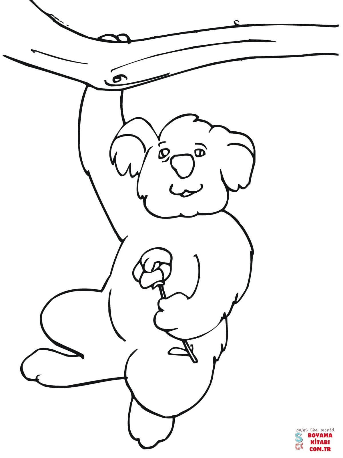 Koala boyama sayfası – PDF indir, sevimli karakter