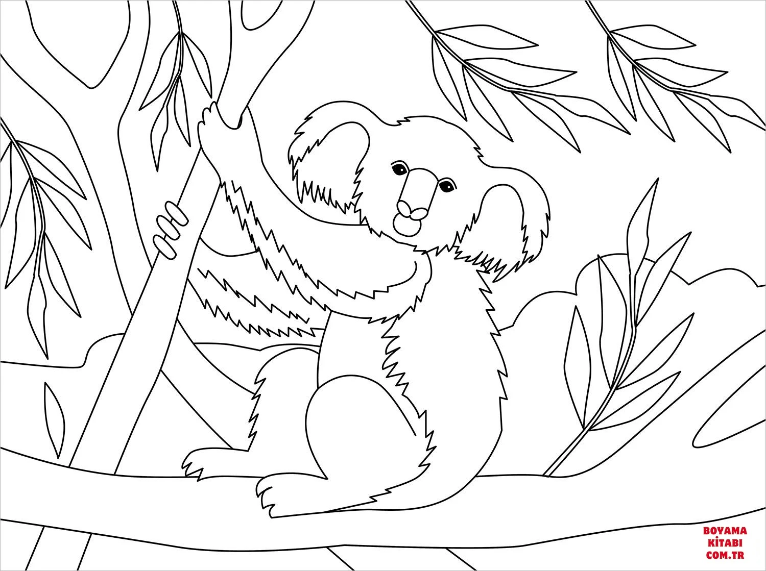 Koala boyama sayfası – yaratıcılığı geliştirir, keyifli zaman