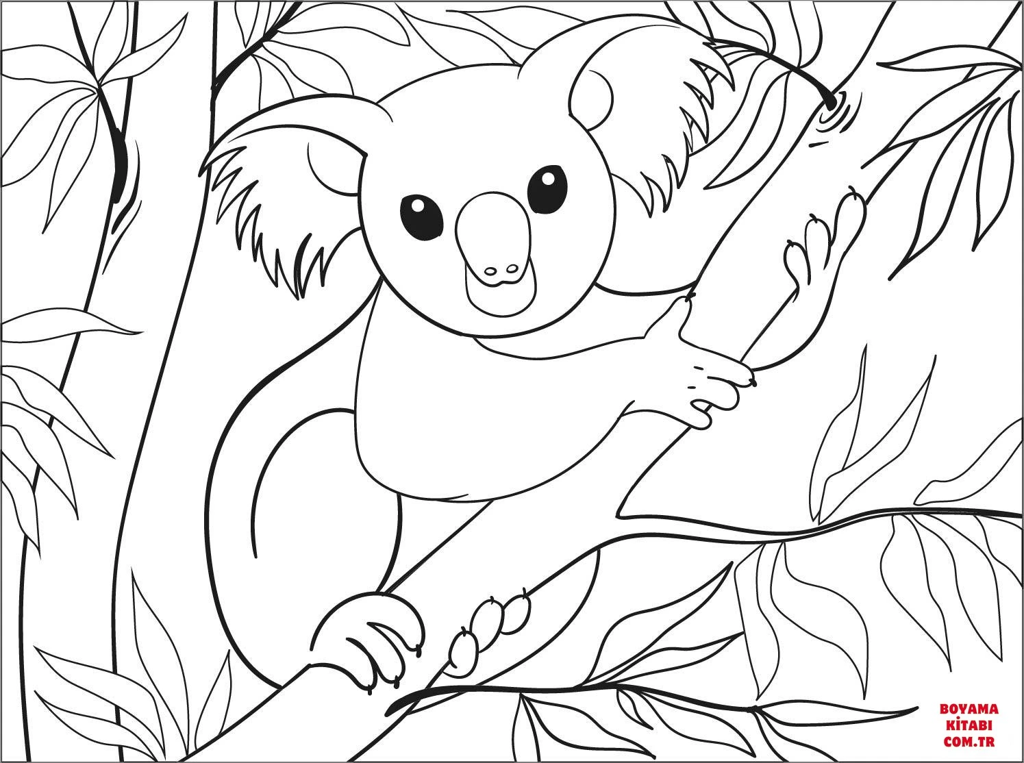 Koala boyama sayfası – okul öncesi, evde etkinlik