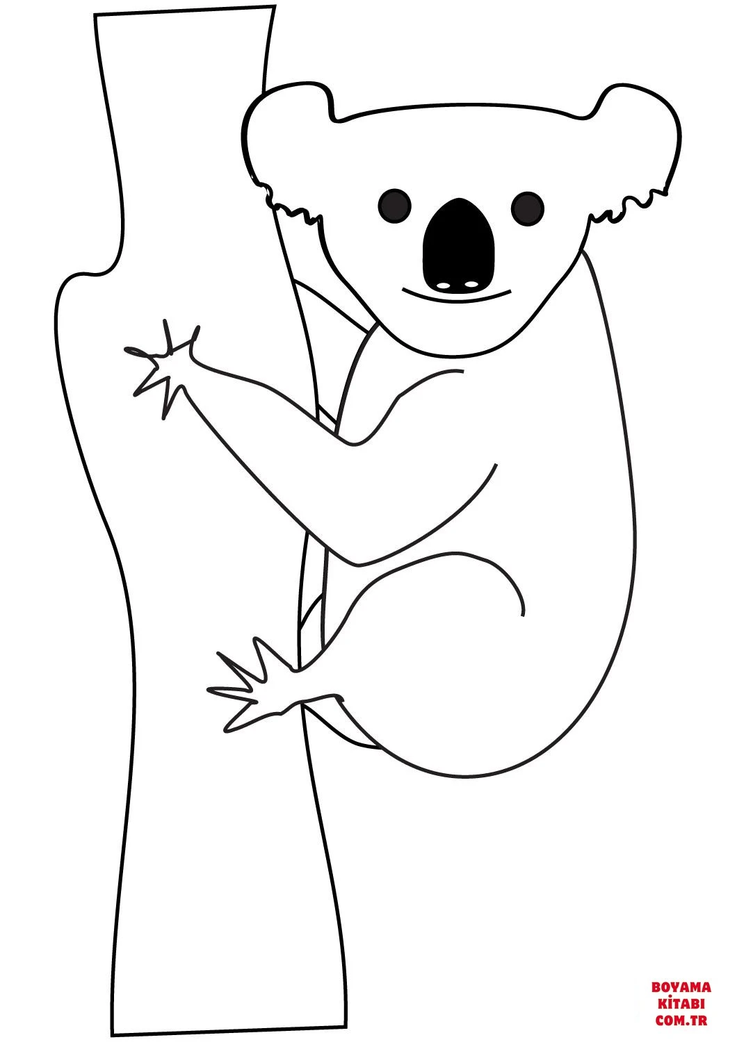 Koala boyama sayfası – eğitici aktivite, yaratıcılık
