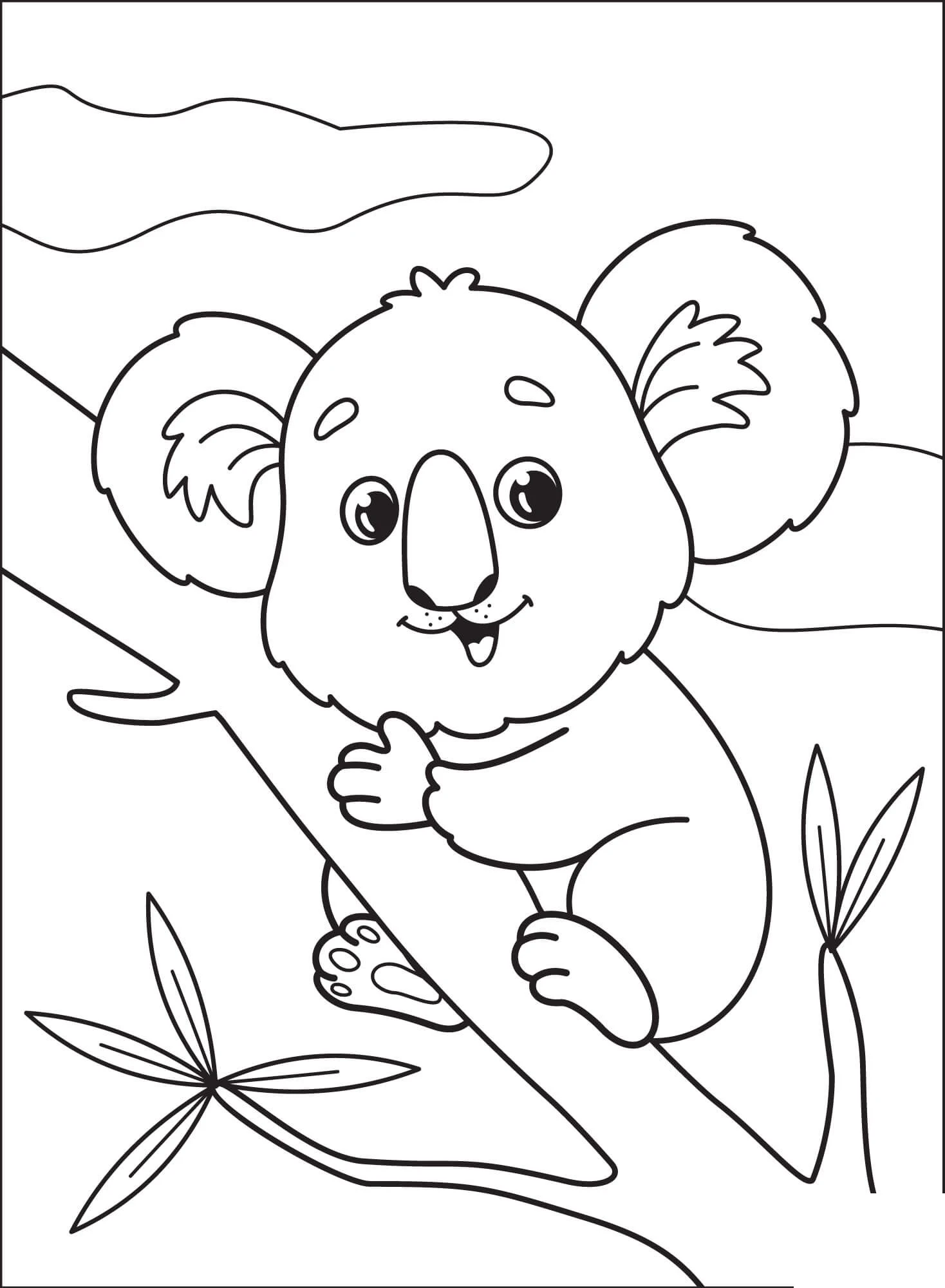 Koala boyama sayfası – keyifli zaman, renkli çizimler