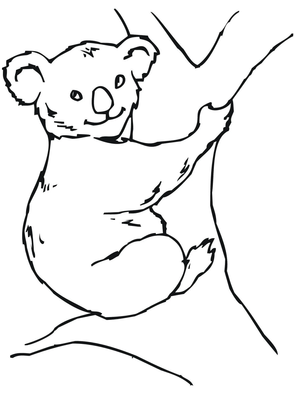 Koala boyama sayfası – sanatsal çalışma, çocuklar için