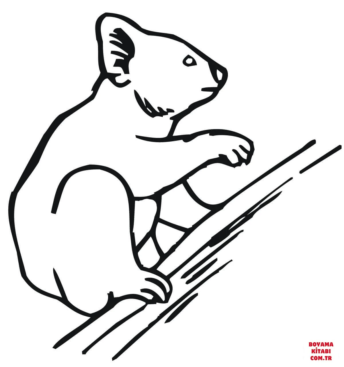 Koala boyama sayfası – boyama çalışması, yaratıcılığı geliştirir