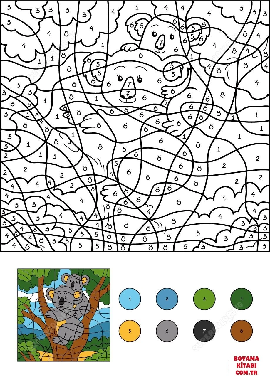 Koala boyama sayfası – ücretsiz yazdır, boyama etkinliği