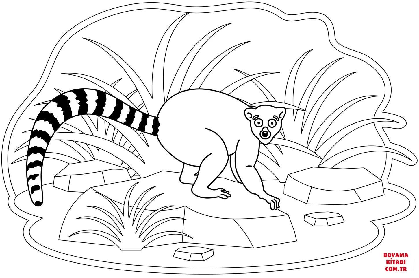 Lemur boyama sayfası – yaratıcılık, eğlenceli etkinlik