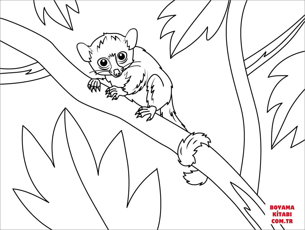 Lemur boyama sayfası – ücretsiz yazdır, boyama etkinliği