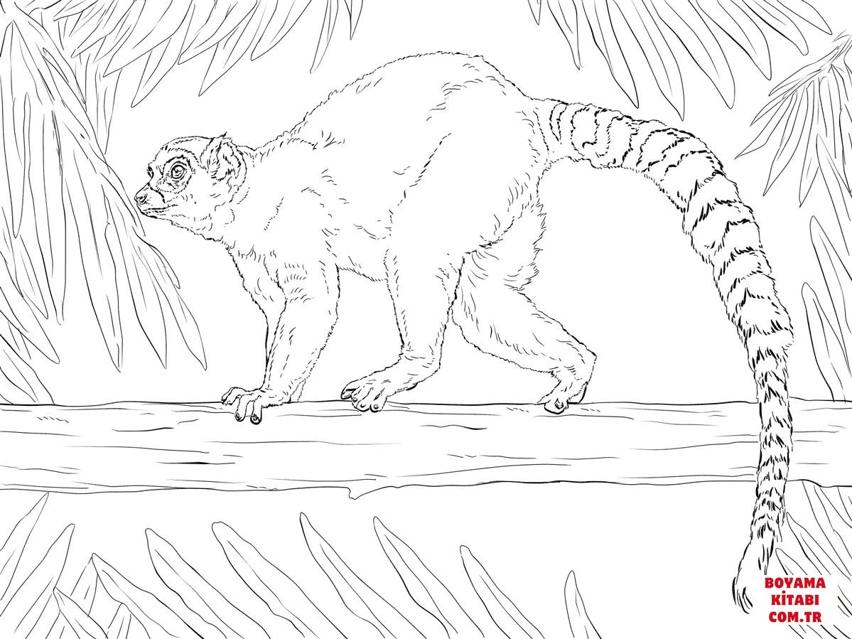 Lemur boyama sayfası – yaratıcılığı geliştirir, keyifli zaman