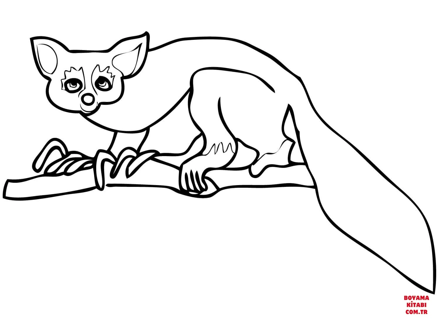 Lemur boyama sayfası – evde etkinlik, ücretsiz yazdır