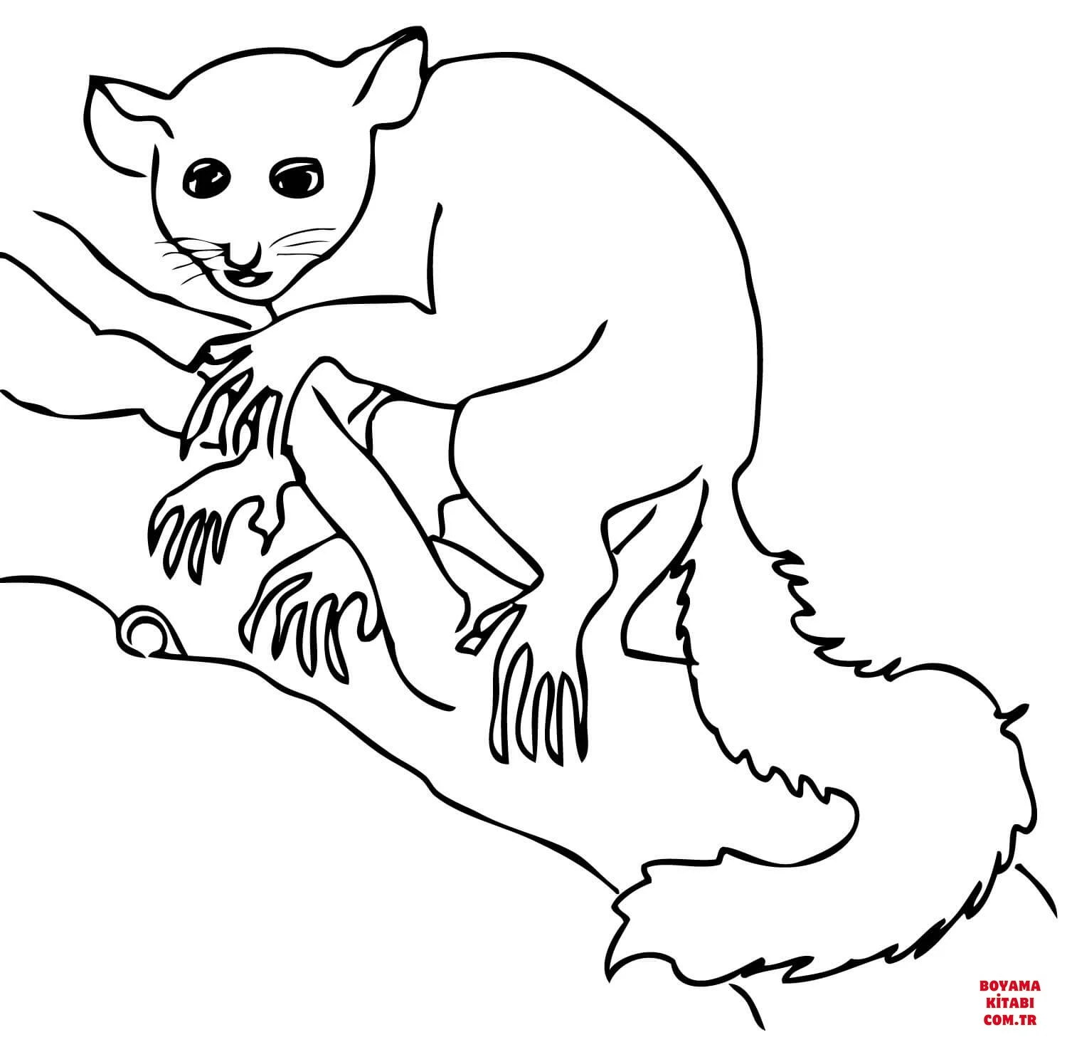 Lemur boyama sayfası – sanatsal çalışma, çocuklar için