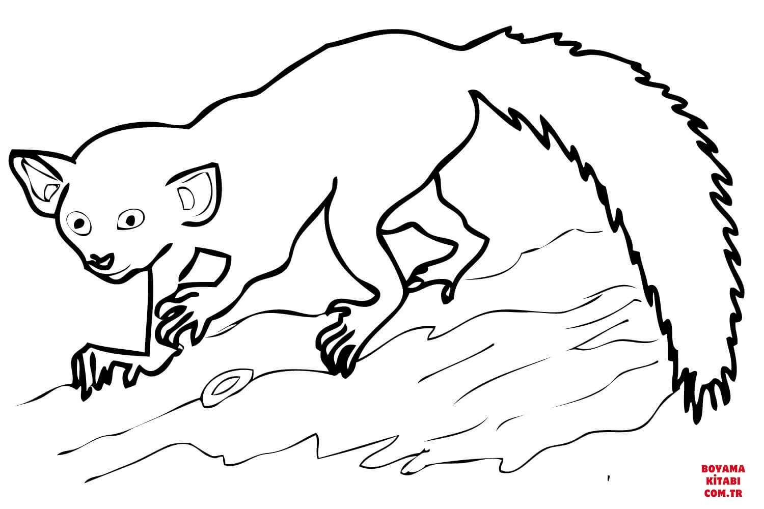Lemur boyama sayfası – basit çizim, kolay boyama