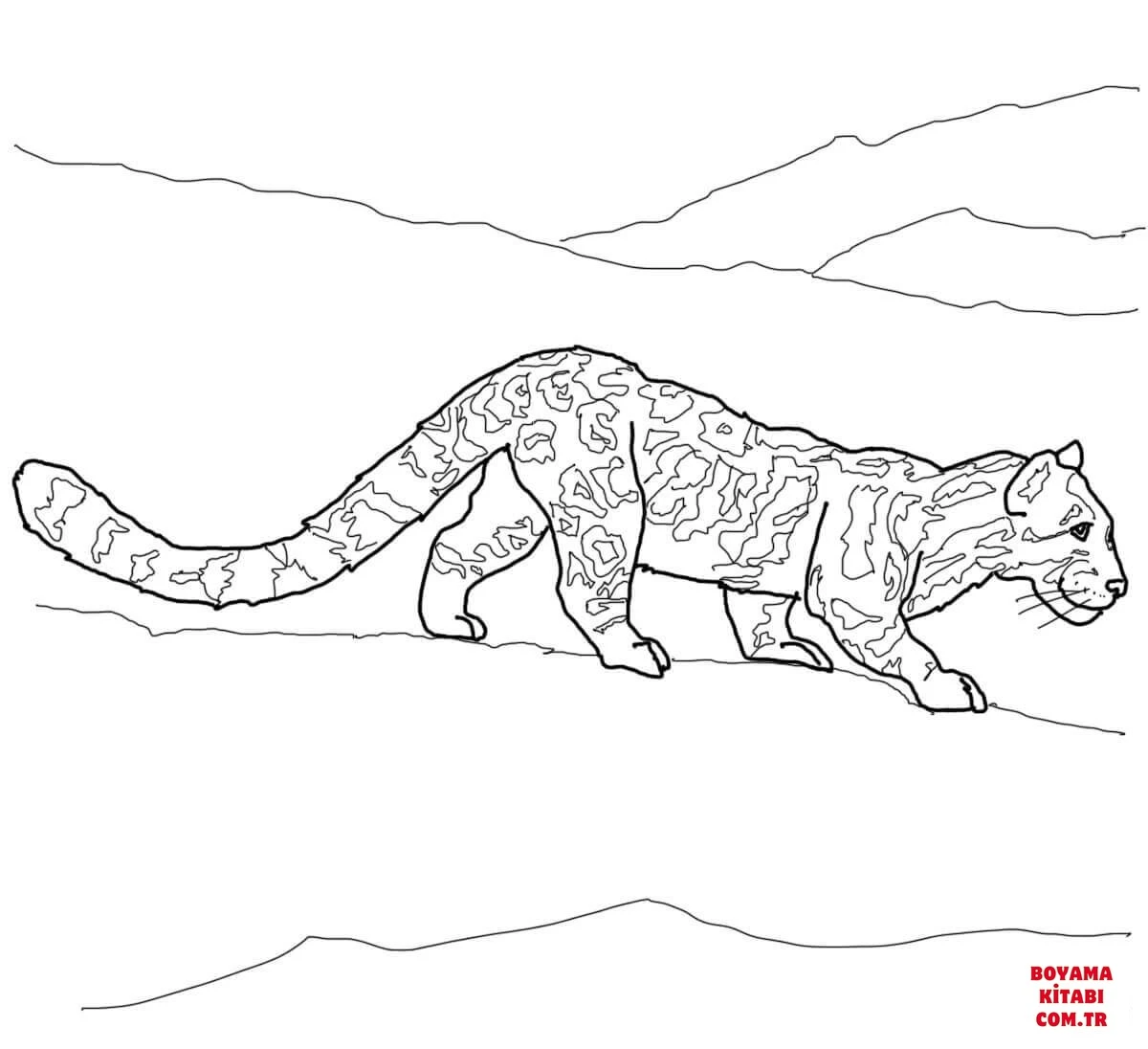 Leopar boyama sayfası – eğitici aktivite, yaratıcılık