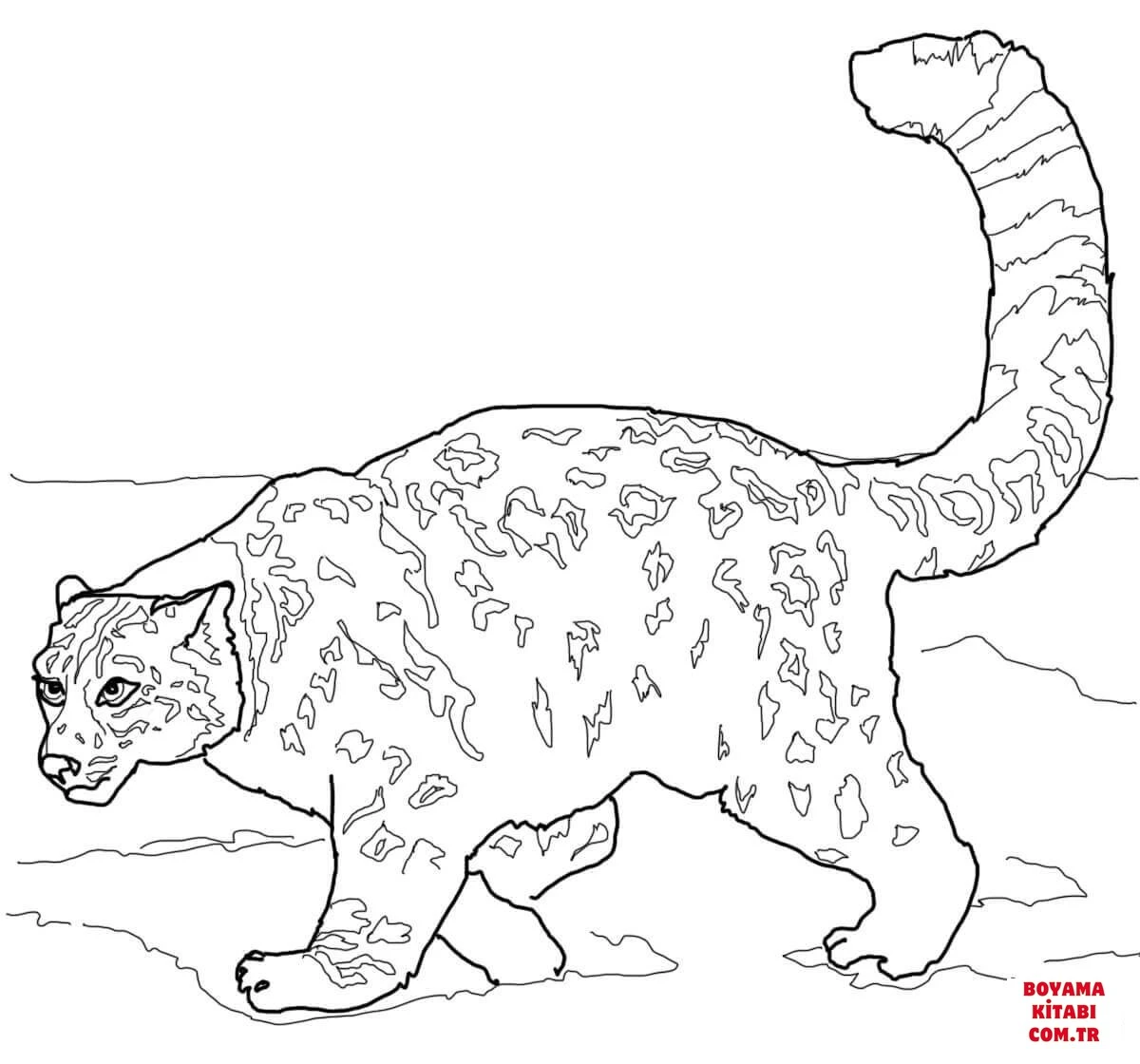 Leopar boyama sayfası – keyifli zaman, renkli çizimler