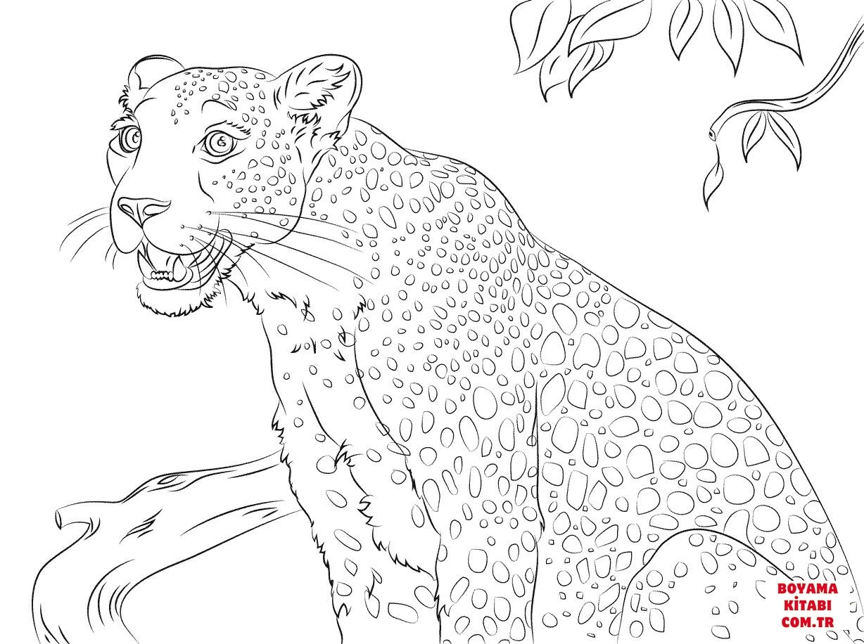 Leopar boyama sayfası – çocuk aktivitesi, PDF indir