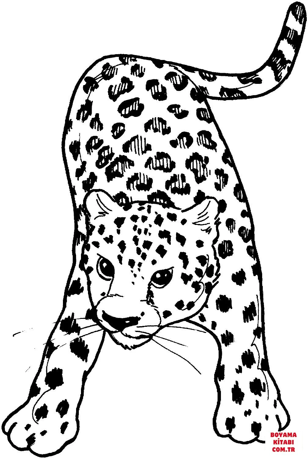 Leopar boyama sayfası – sanatsal çalışma, çocuklar için