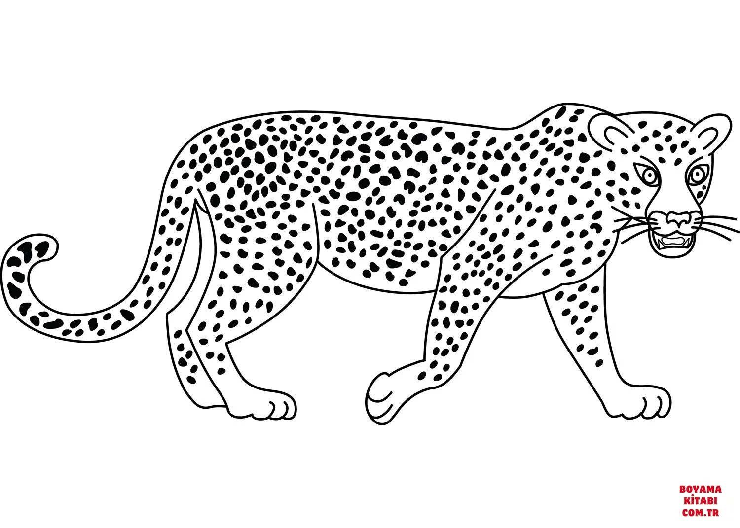 Leopar boyama sayfası – boyama çalışması, yaratıcılığı geliştirir