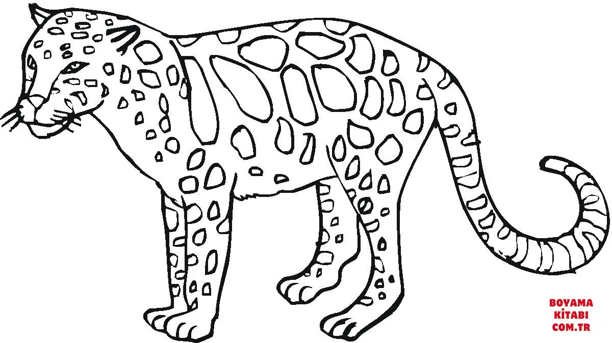 Leopar boyama sayfası – renkli çizimler, okul öncesi