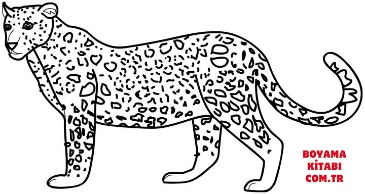 Leopar boyama sayfası – çocuklar için, çizgi film temalı