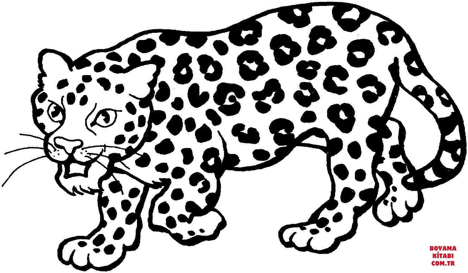 Leopar boyama sayfası – boyama etkinliği, çocuk aktivitesi
