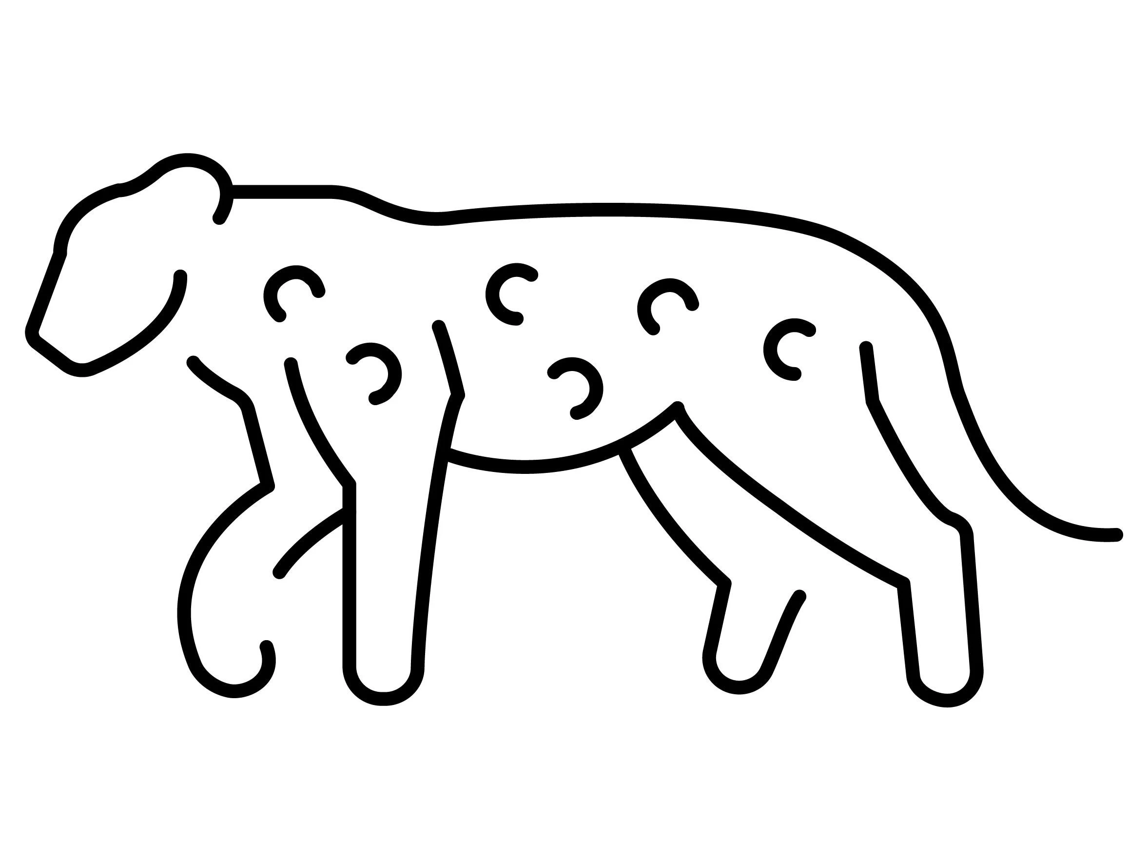 Leopar boyama sayfası – keyifli zaman, renkli çizimler