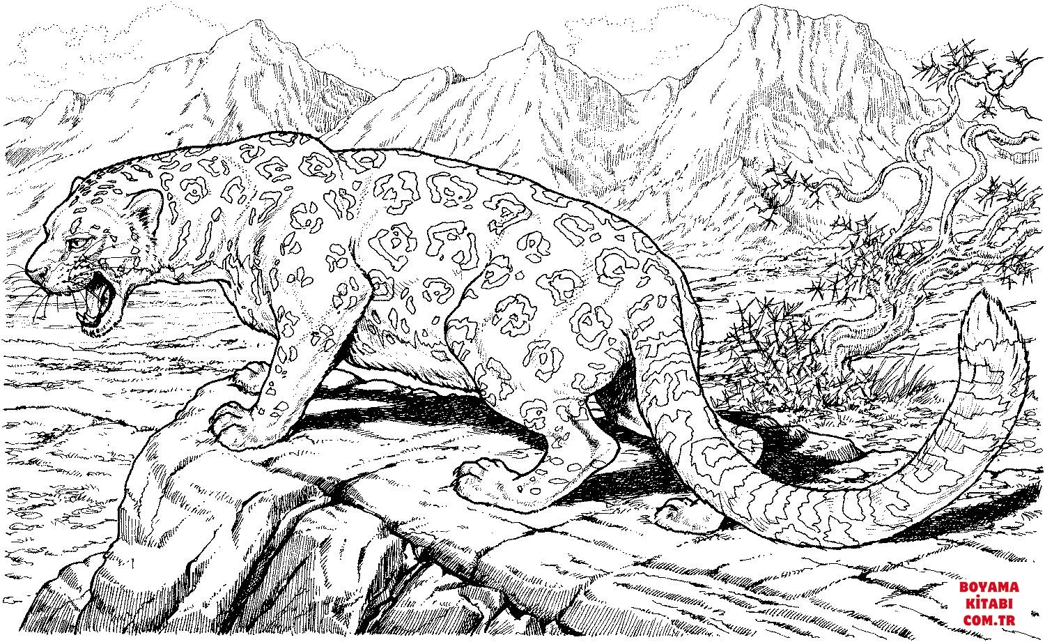 Leopar boyama sayfası – ücretsiz yazdır, boyama etkinliği