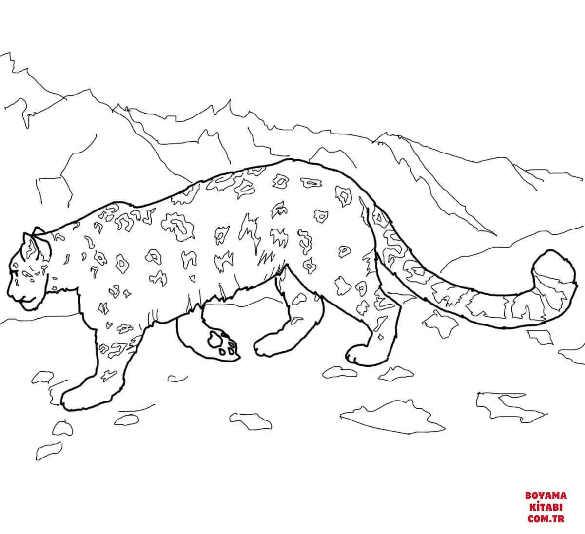 Leopar boyama sayfası – boyama etkinliği, çocuk aktivitesi