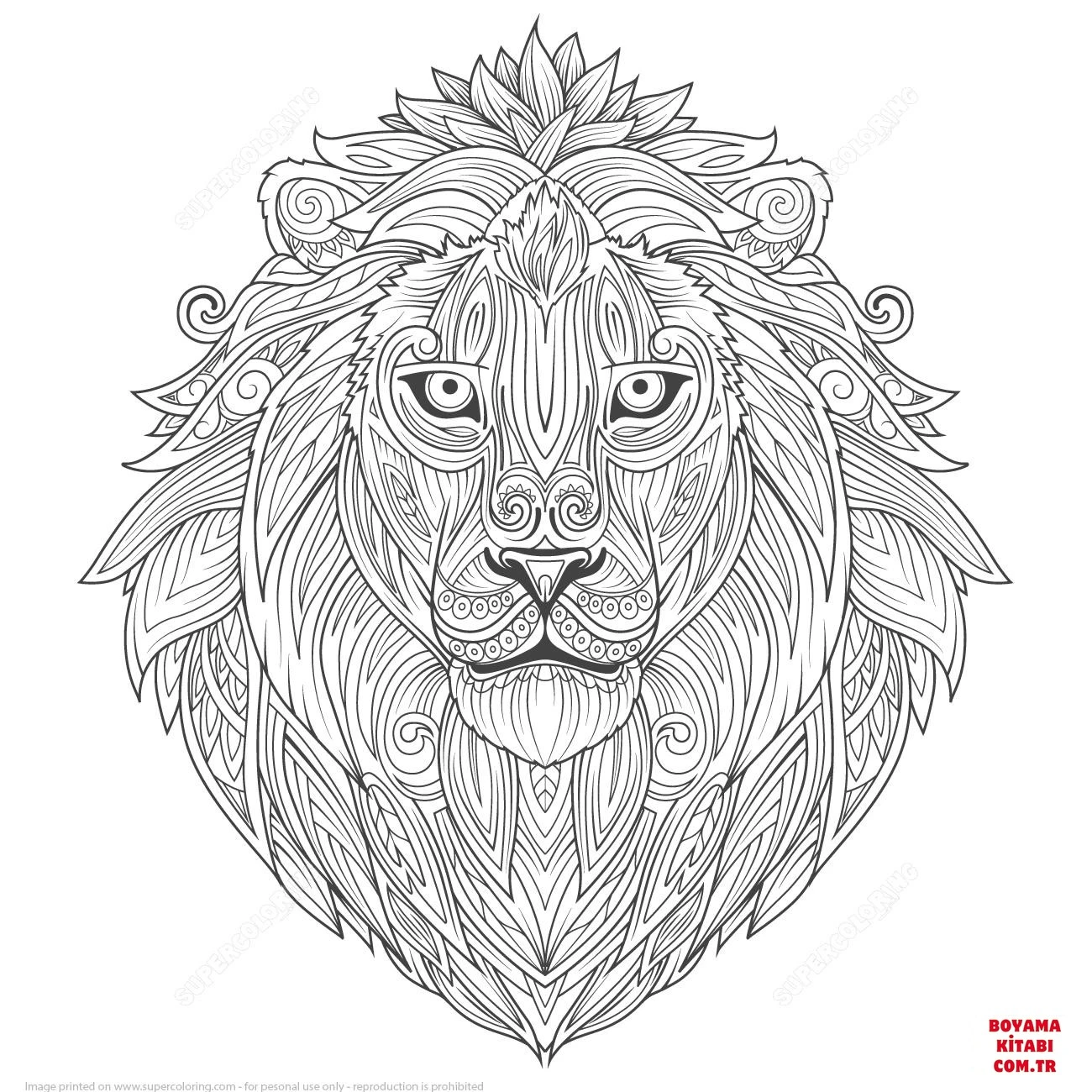 Aslan boyama sayfası – çocuk aktivitesi, PDF indir