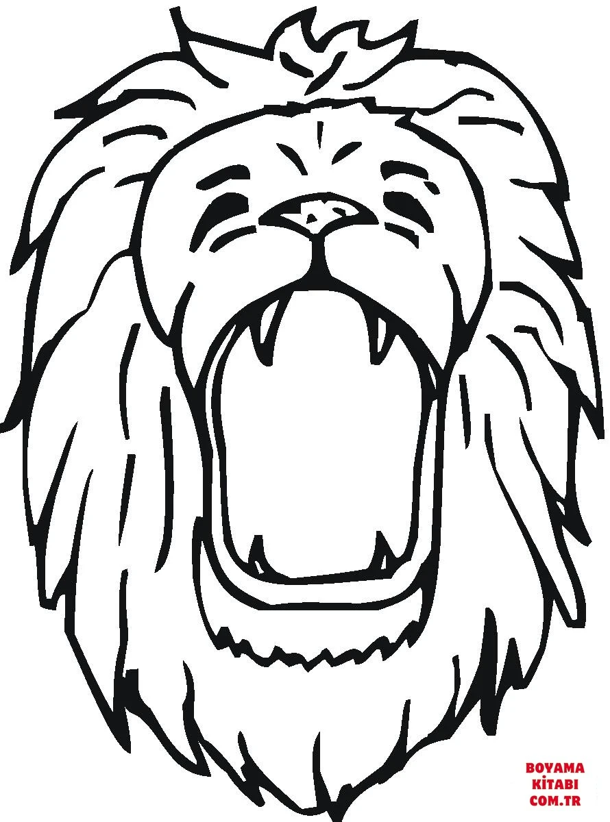 Aslan boyama sayfası – keyifli zaman, renkli çizimler