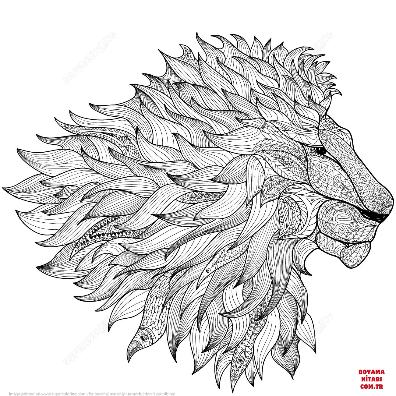 Aslan boyama sayfası – çocuk aktivitesi, PDF indir