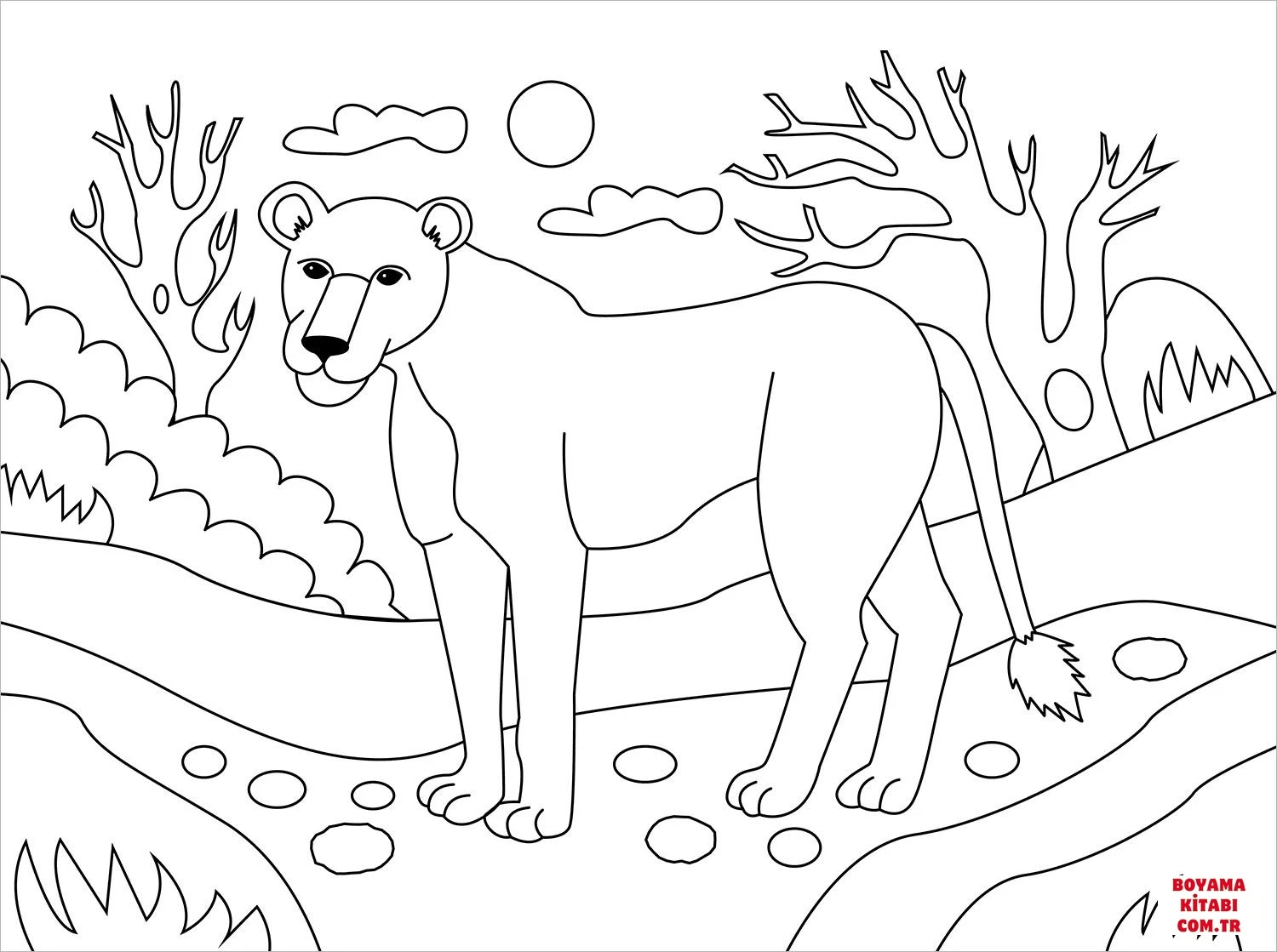 Aslan boyama sayfası – boyama çalışması, yaratıcılığı geliştirir