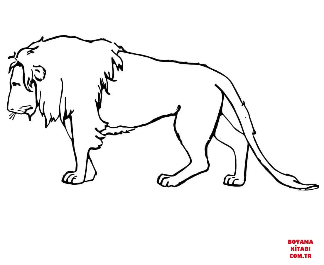 Aslan boyama sayfası – sevimli karakter, sanatsal çalışma