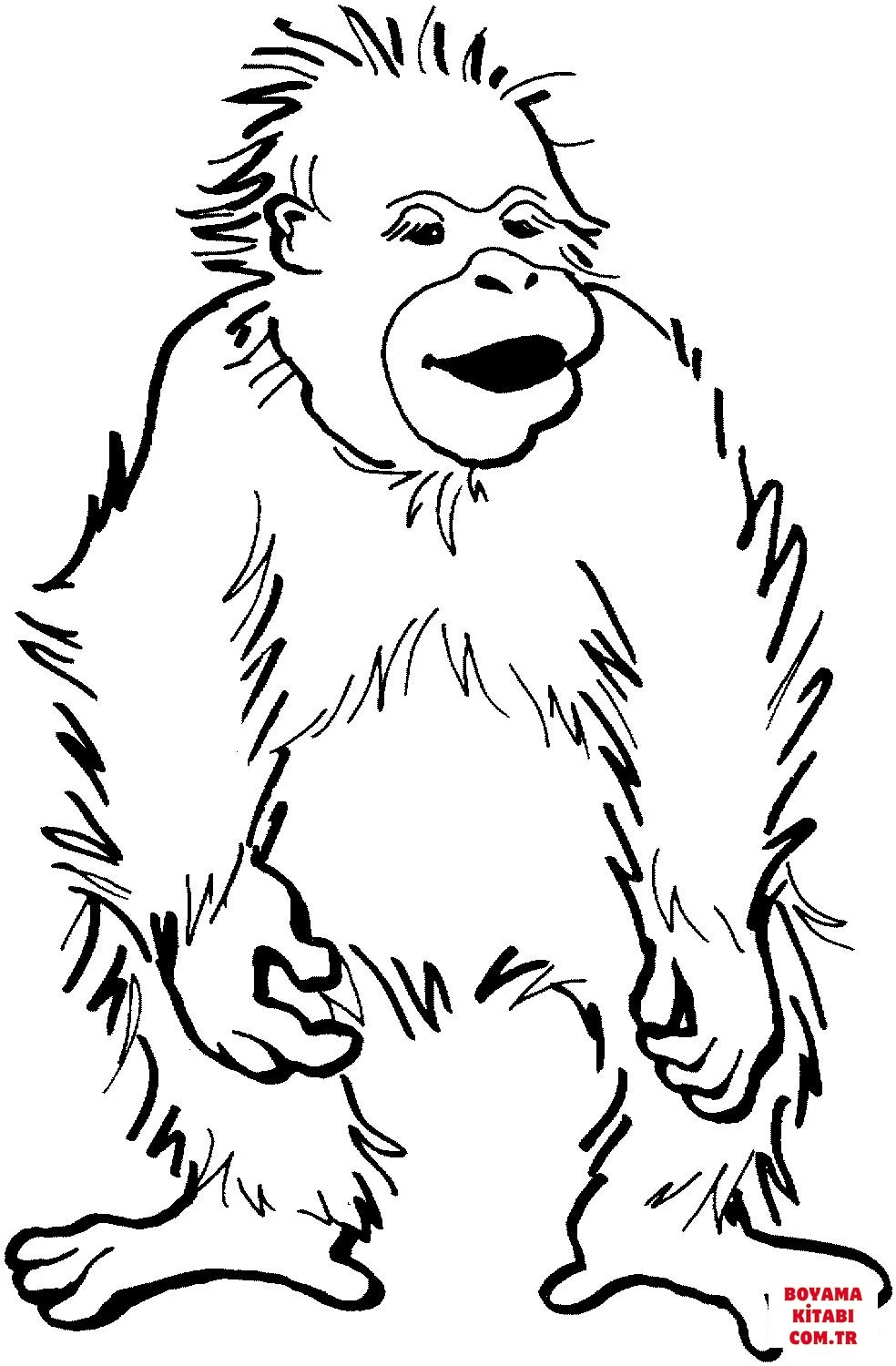 Orangutan boyama sayfası – boyama etkinliği, çocuk aktivitesi