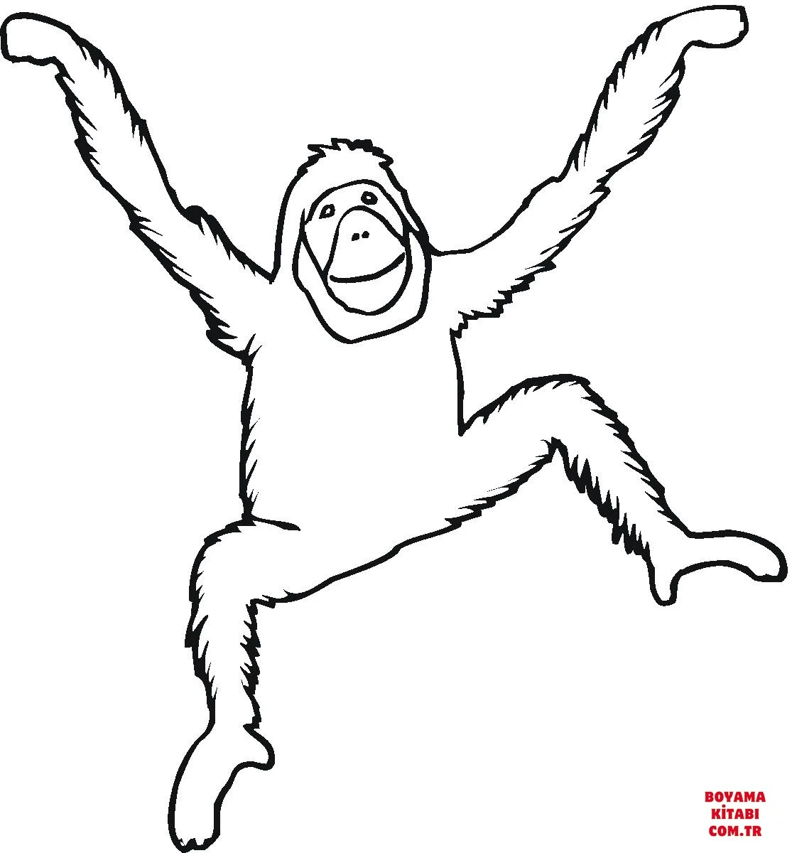 Orangutan boyama sayfası – keyifli zaman, renkli çizimler
