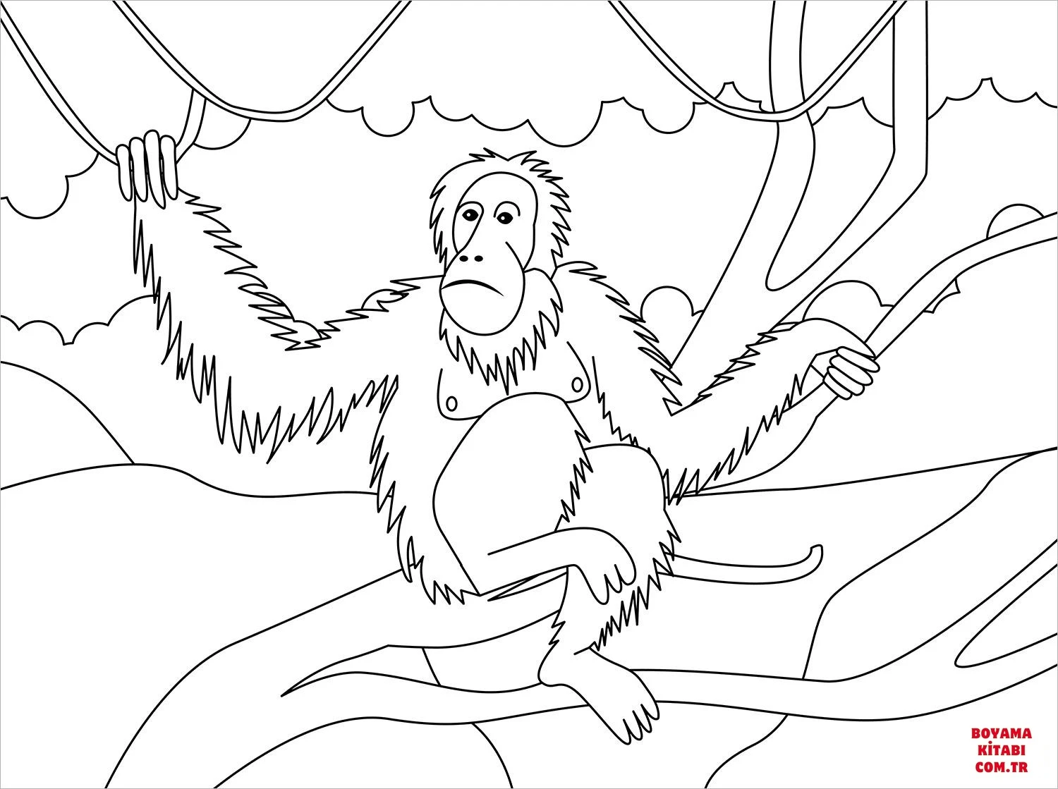 Orangutan boyama sayfası – evde etkinlik, ücretsiz yazdır