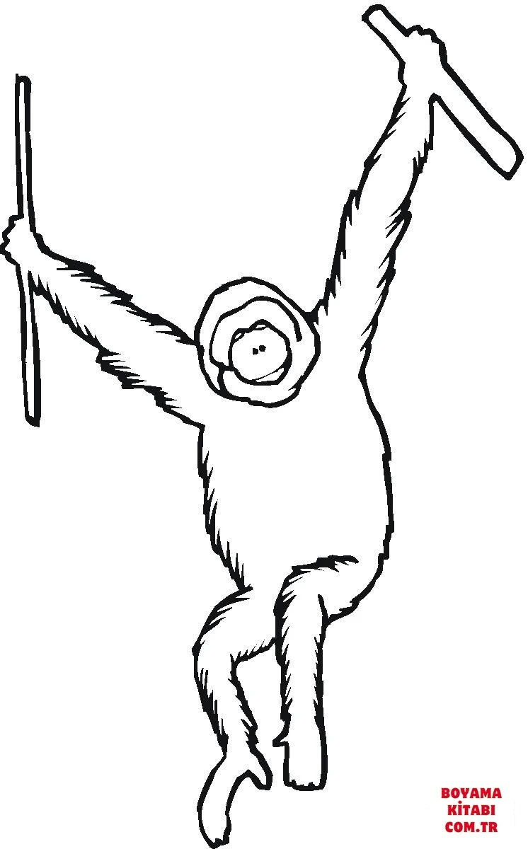 Orangutan boyama sayfası – sanatsal çalışma, çocuklar için