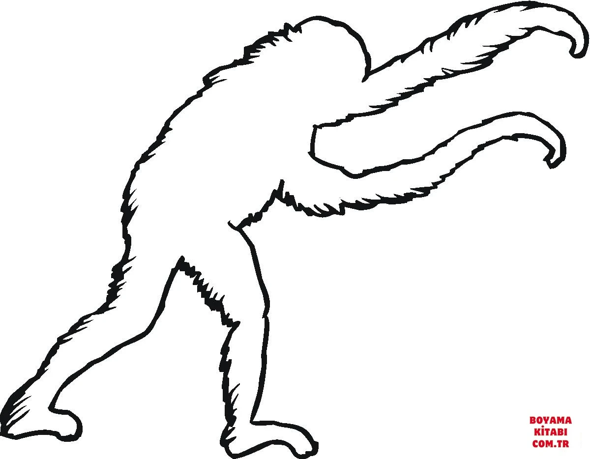 Orangutan boyama sayfası – çocuklar için, çizgi film temalı