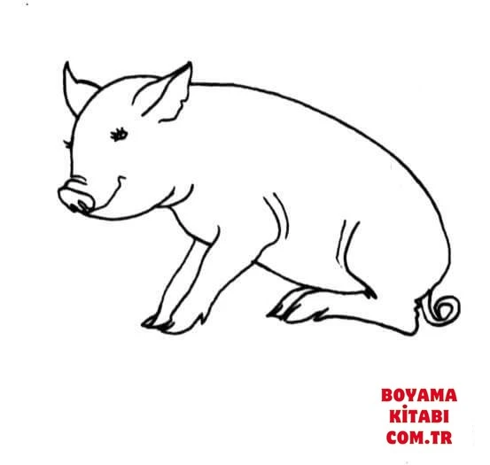 Domuz boyama sayfası – boyama etkinliği, çocuk aktivitesi