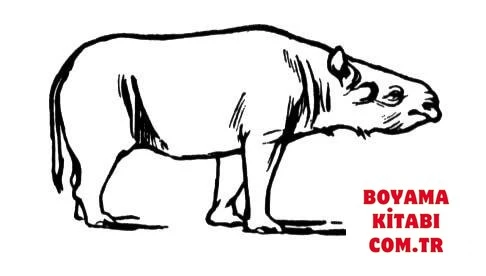 Gergedan boyama sayfası – el becerilerini geliştirir, boyama çalışması