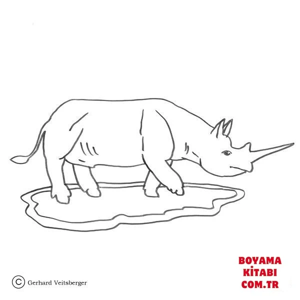 Gergedan boyama sayfası – eğitici aktivite, yaratıcılık