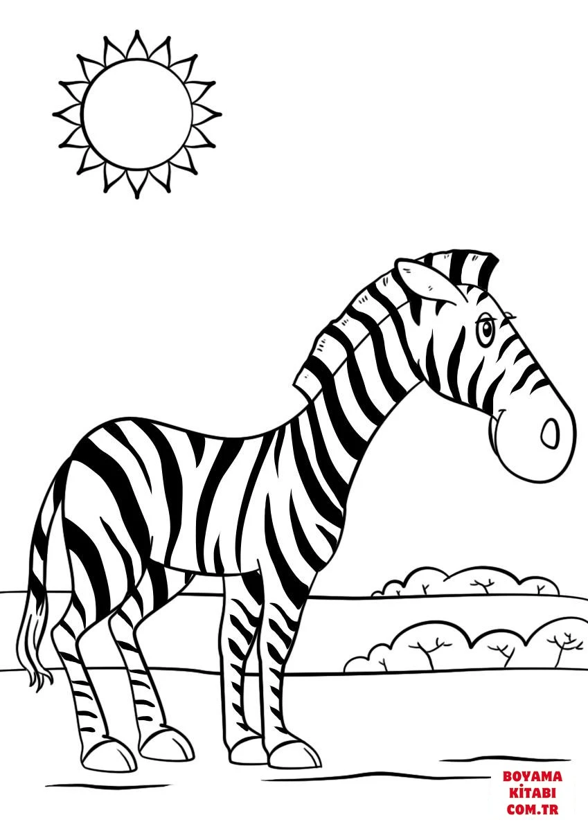 Zebra boyama sayfası – eğitici aktivite, yaratıcılık