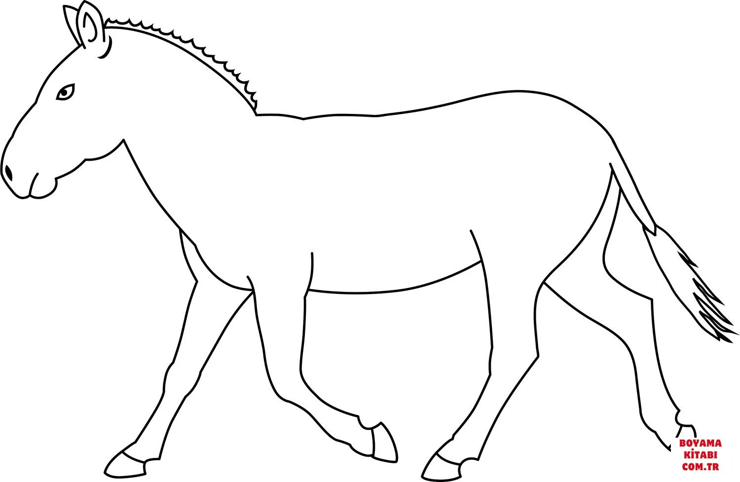 Zebra boyama sayfası – keyifli zaman, renkli çizimler