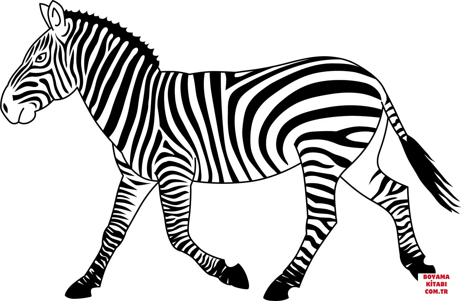 Zebra boyama sayfası – çocuklar için, çizgi film temalı